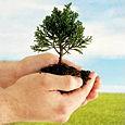 Arbor Day