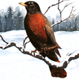 National Bird Day
