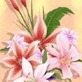 Mothering Sunday - UK