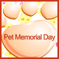 Pet Memorial Day