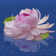 Wesak Day
