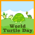 World Turtle Day