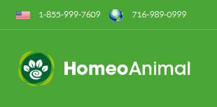 Pet Adoption